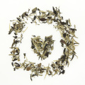 Té blanco Old Tree Moonlight